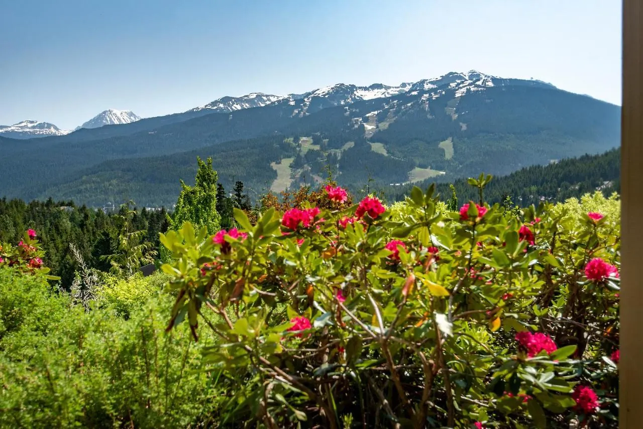 The Ironwood On Blueberry Hill Apartment Whistler